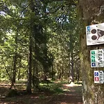 Le Belvosgien Lägenhet Gérardmer