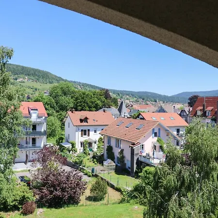 Apartment Le Belvosgien Gerardmer