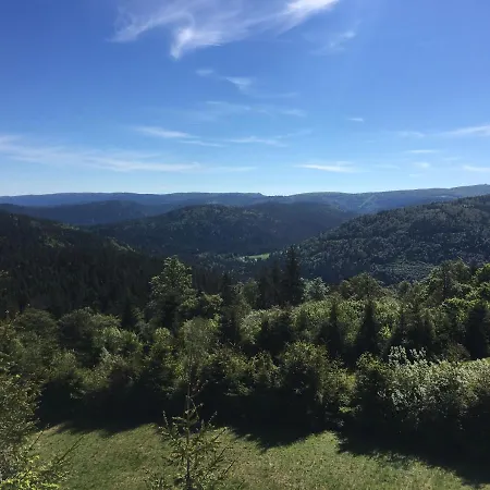 Le Belvosgien *