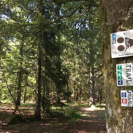 Le Belvosgien شقة جوراردُميه