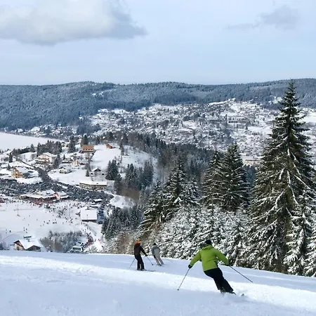 Le Belvosgien شقة