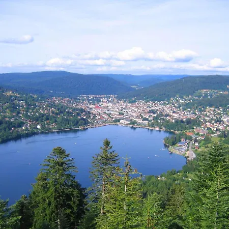 Le Belvosgien Apartment Gerardmer