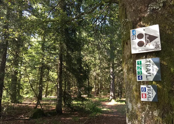 Le Belvosgien Lägenhet Gérardmer