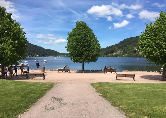 Lägenhet Le Belvosgien *